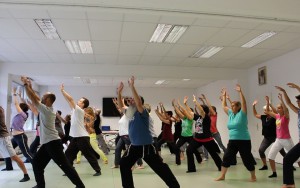 In der Qi Gong Ausbildung der Medizin und Lebenskunst Akademie lernen und trainieren wir in Gruppen unter Anleitung erfahrener QI Gong Meister