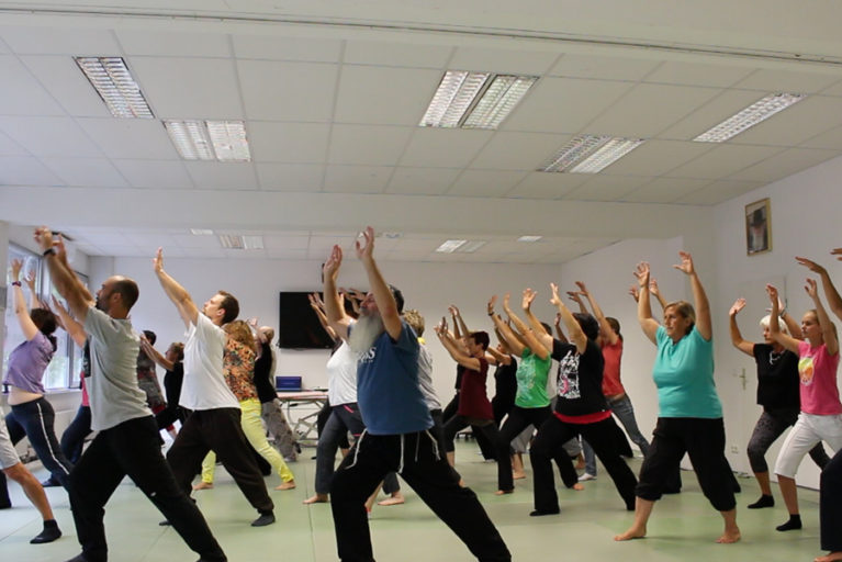 In der Qi Gong Ausbildung der Medizin und Lebenskunst Akademie lernen und trainieren wir in Gruppen unter Anleitung erfahrener QI Gong Meister